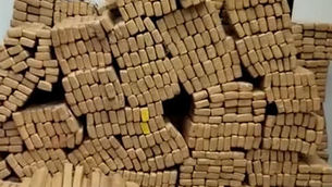 Polícia apreende quase duas toneladas de drogas em SP (Reprodução)